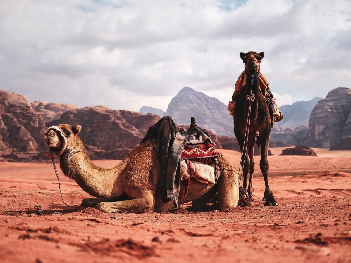 Wadi Rum Nights Exterior photo