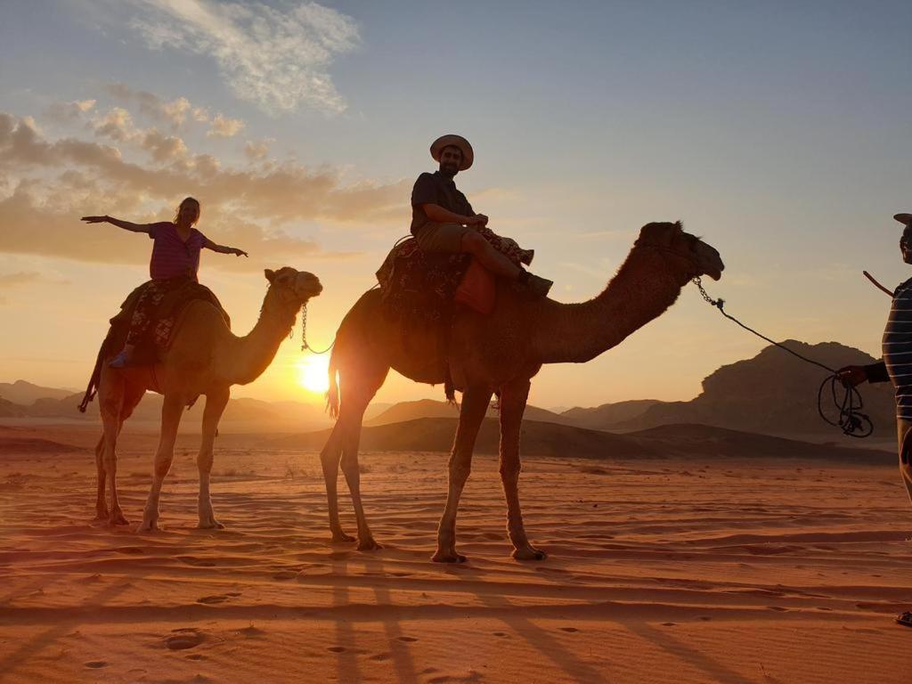Wadi Rum Nights Exterior photo